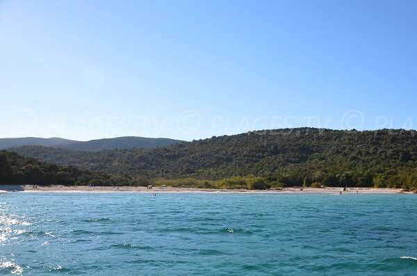 Photo of the Carataggio beach in Porto Vecchio in Corsica