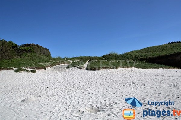 Environnement verdoyant de la plage Le Carn à Ploudalmézeau