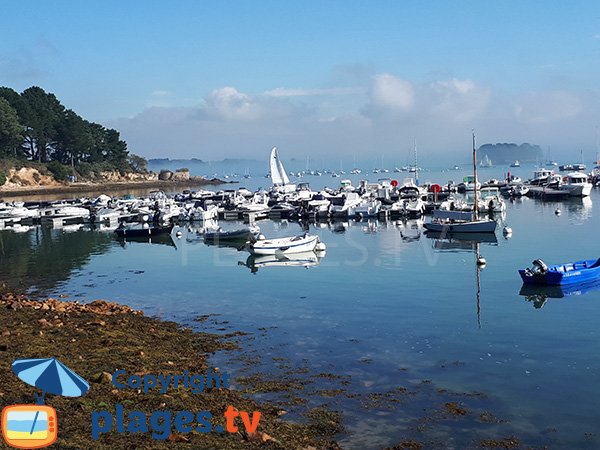 Bateaux autour de la plage d'Arradon