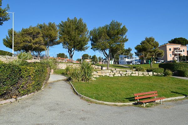 Grassy area of Carro beach