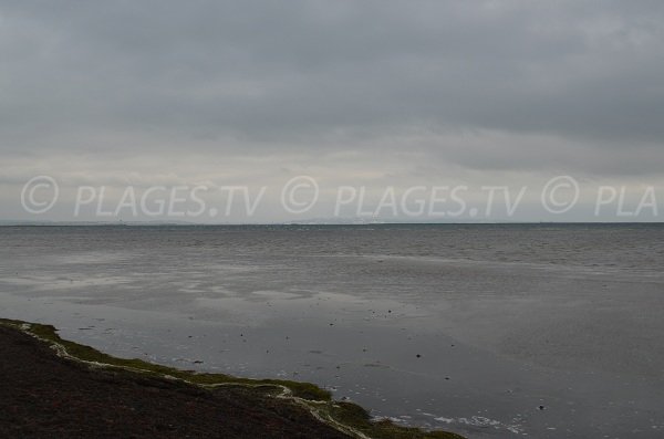 Beach in Port St Louis - Carteau