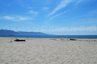 Beach in Casaglione (Corsica)