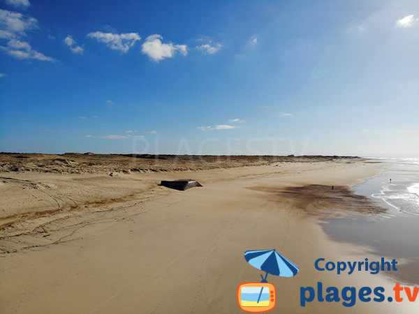 Plage sauvage dans les Landes - Seignosse