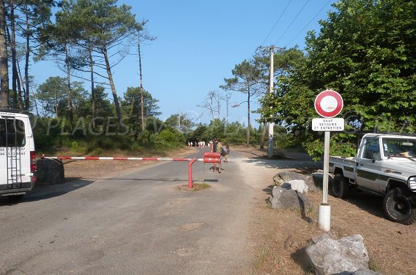 Chemin d'accès à la plage des Casernes - Seignosse