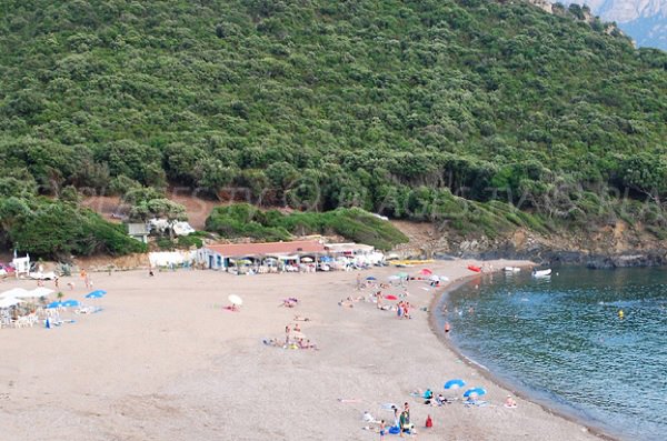 Photo of Partinello beach in Corsica