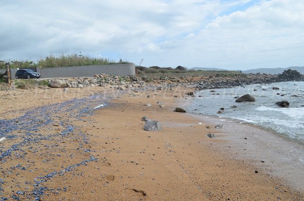 Plage de Castagna à Coti Chiavari