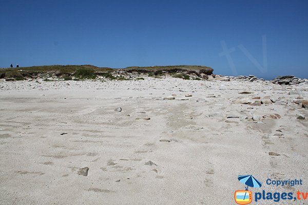 Dunes sur l'ile Grande - Castel Erek