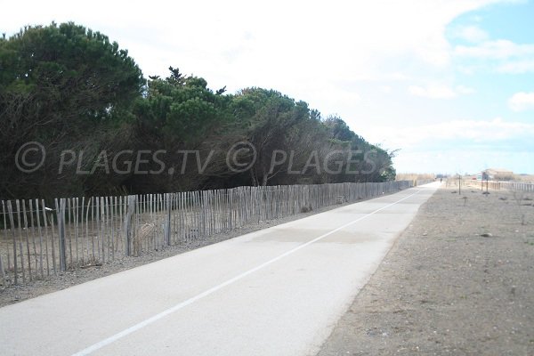 Zona alberata lungo la spiaggia del Castellas a Sète