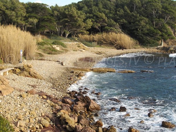 Wild beach in Saint-Mandrier in France