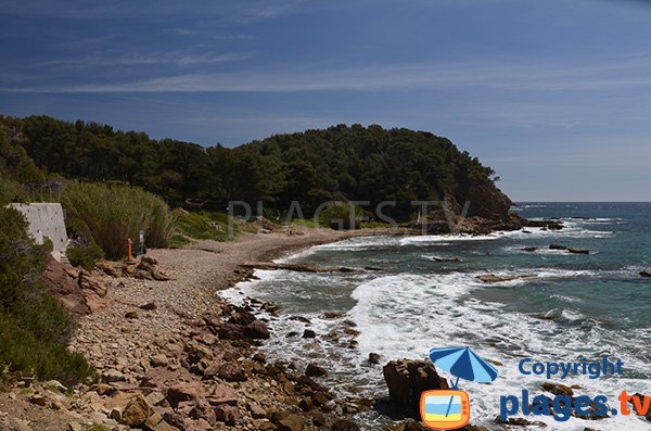 Plage sauvage à Saint-Mandrier