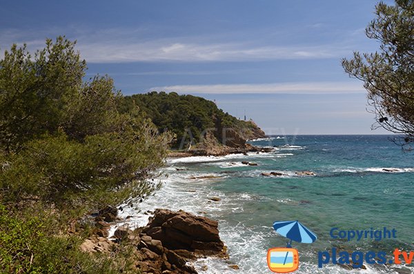 Baignade sur la plage de Cavalas à Saint Mandrier