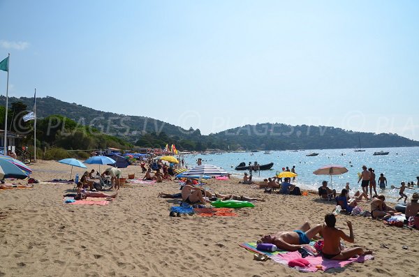 Spiaggia di Cavaliere e vista sul Cap Negre - Le Lavandou