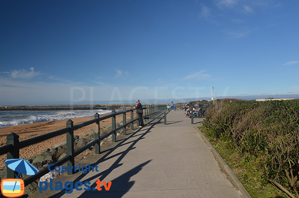 Plage des Cavaliers à Anglet