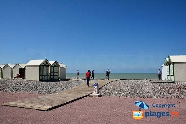 Cayeux beach allowed dogs