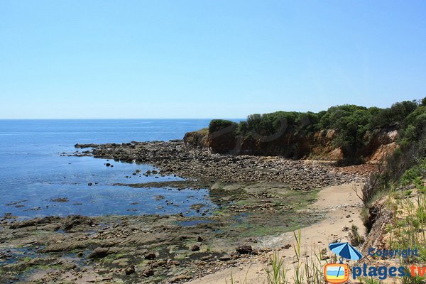 Crique de sable dans la baie de Cayola en Vendée