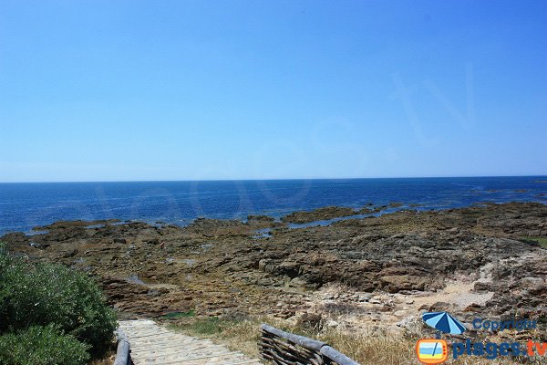 Coast along St Jean forest in Chateau d'Olonne