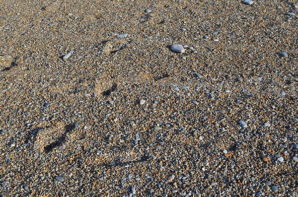 Sand of Cenitz beach in St Jean de Luz