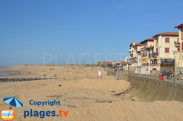 Central beach in Hossegor in France