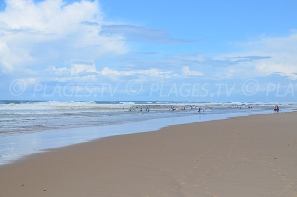 Surfers on the beach of Lacanau Ocean