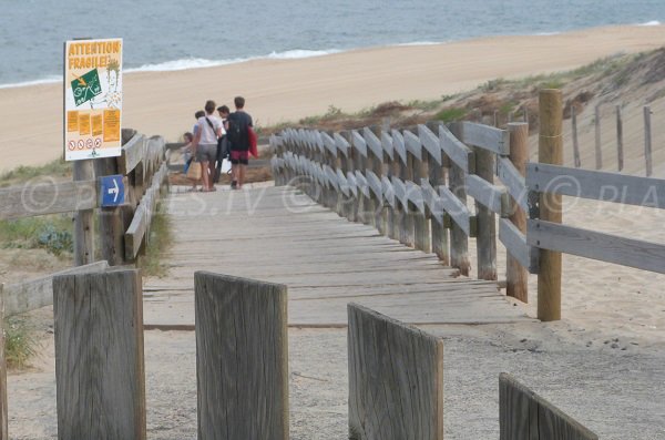 Accès à la plage de Messanges (Landes)