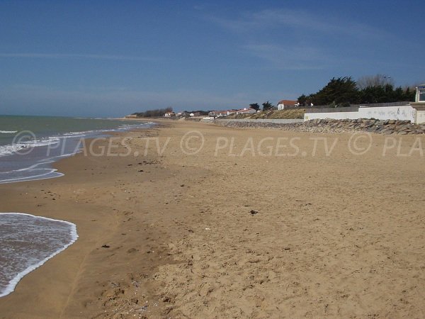 Environnement de la plage centrale de La Tranche sur Mer