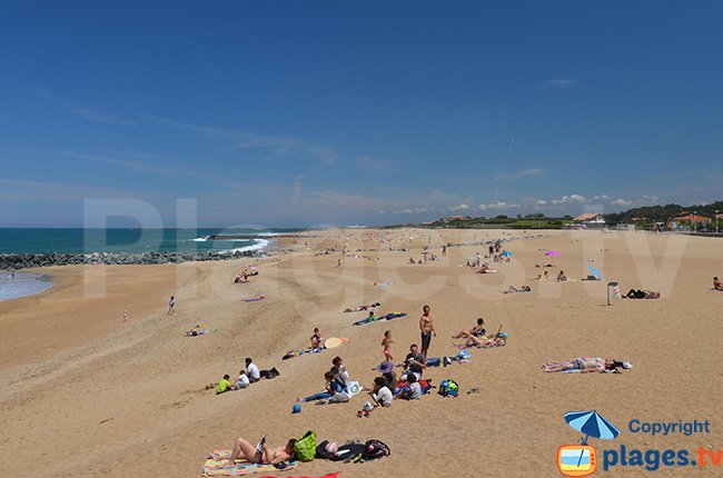 Plage dans le centre d'Anglet