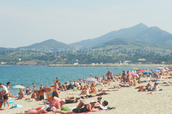 Foto vom Strand von Argelès im Sommer