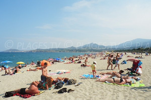 Spiaggia del centro a Argelès sur Mer - Francia