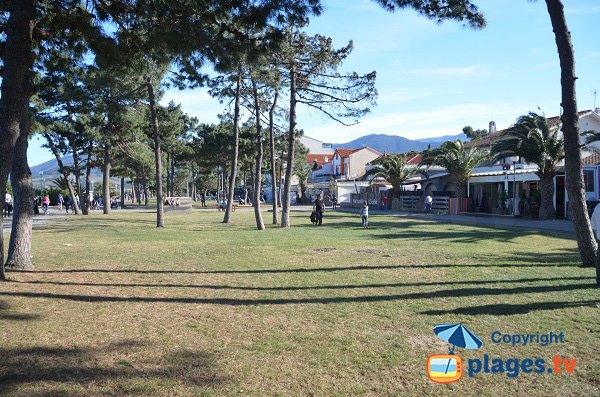 Seaside front of Argelès-Plage