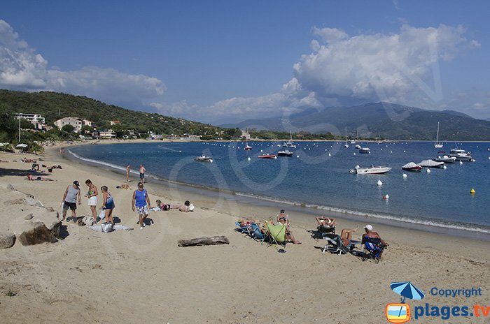 Plage dans le centre de Porto Pollo - Corse