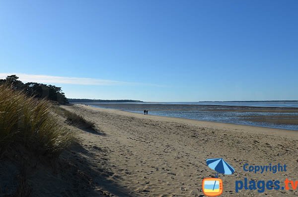 Plage de la Cèpe à Ronce les Bains avec vue vers l'ouest