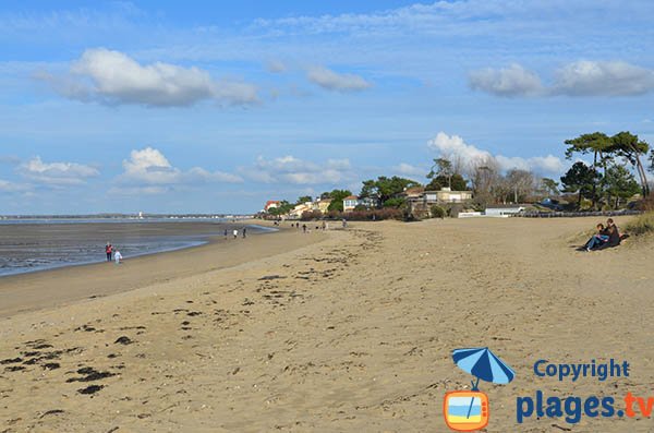 Photo de la plage de la Cèpe à Ronce les Bains - La Tremblade