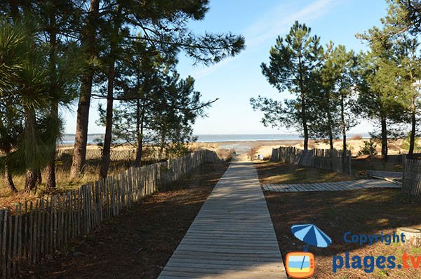 Accès à la plage de la Cèpe - Ronce les Bains