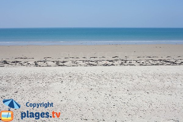 Baignade sur la plage du Champ à Bretteville sur Ay - Manche