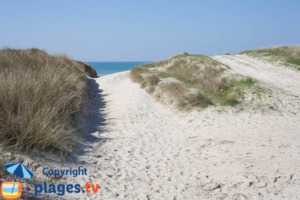 Accès à la plage du Champ à Bretteville sur Ay