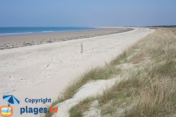 Photo de la plage du Champ à Bretteville sur Ay - 50