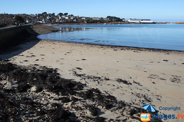 Environnement de la plage du Chantier Naval de Le Diben