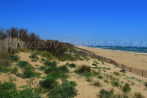 Plage de sable depuis les dunes de Sérignan en direction du Cap d'Adge