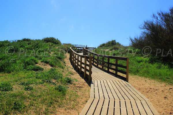 sentieri della spiaggia della Chapelle a Sérignan