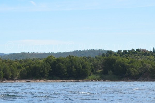 Environnement de la plage de la Chapelle St Georges à Bormes les Mimosas