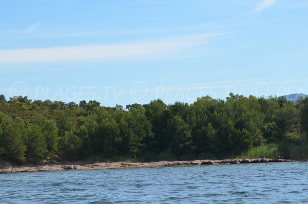 Plage avec de l'ombre - Chapelle de St Georges à Bormes les Mimosas