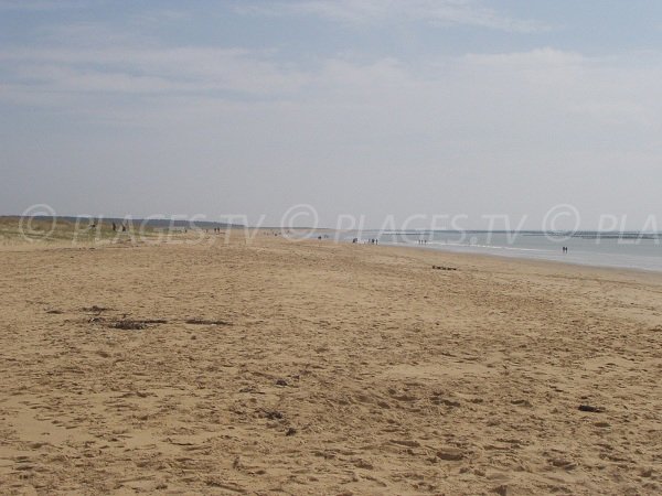 Plage des Chardons en direction de la pointe d'Arçay