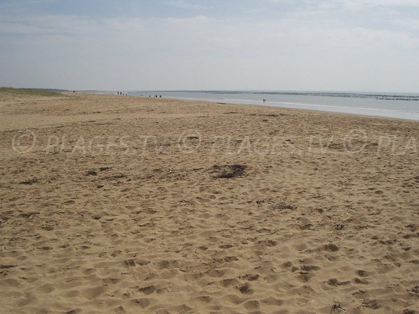 Plage publique de sable des Chardons à La Faute