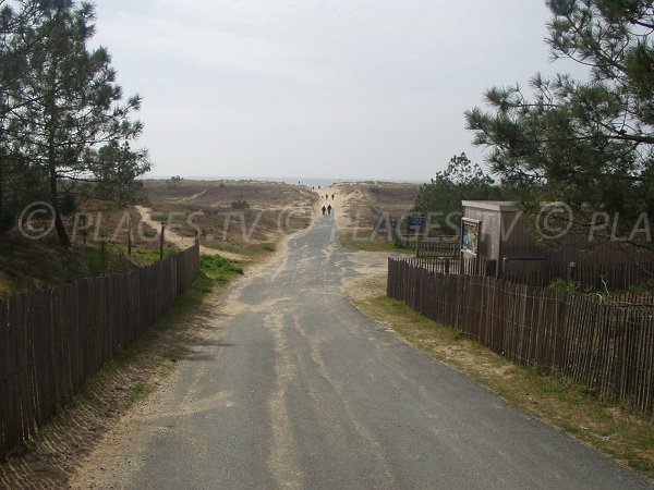 Accès à la plage des Chardons à La Faute sur Mer