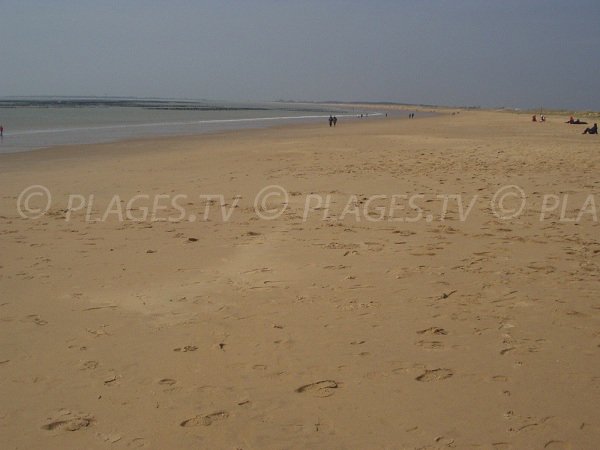 Chardons beach in La Faute sur Mer - France