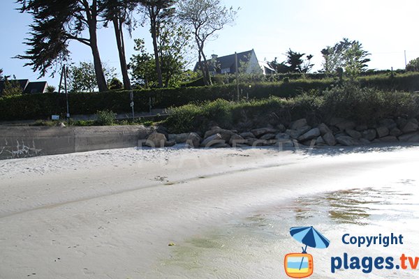 Environnement de la plage ar C'hastel - Landunvez