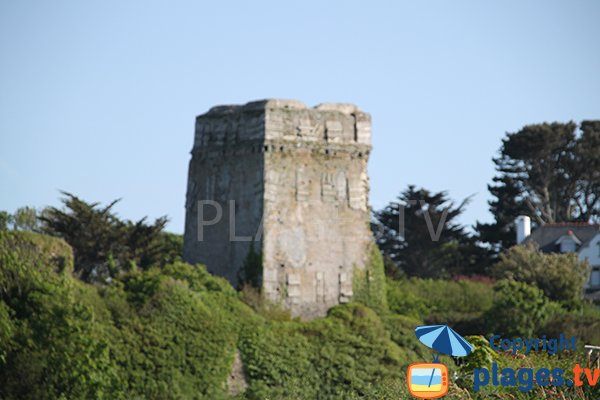 Chateau d'Ar C'Hastel à Landunvez