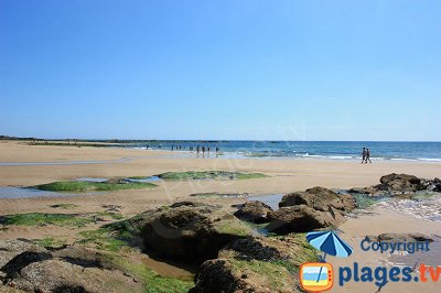 Château d'Olonne beach in France