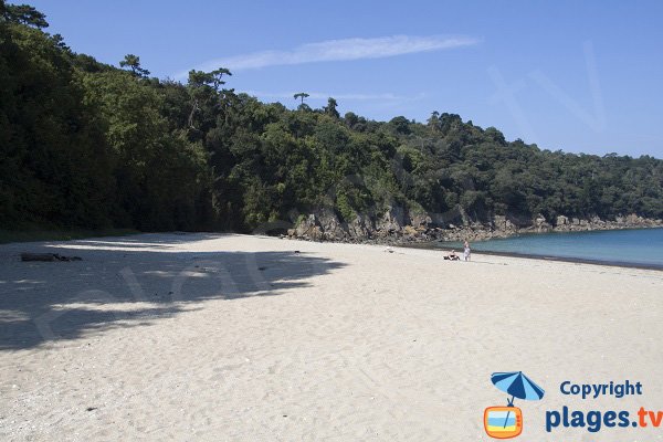 Plage du Chateau de Serein - Cap Fréhel