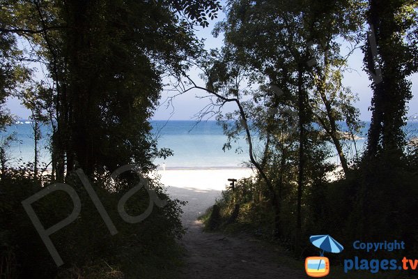 Sentier d'accès à la plage du chateau Serein - Plévenon